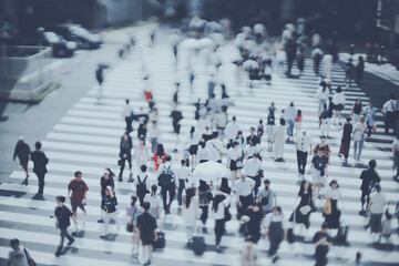 Naklejka premium 横断歩道を渡る人々 俯瞰ぼかし