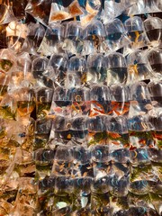 Gold fish in bags