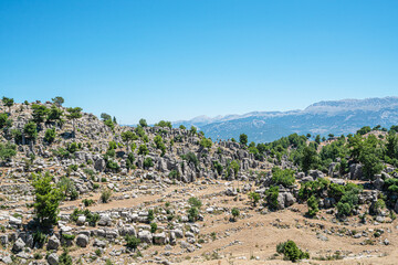 The area of conglomerates of rocks surrounding the ancient city of Selge in Antalya. The area called Avatar Land, named Rocks of Man, because it resembles a standing person, creates a fantastic image.
