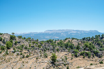 The area of conglomerates of rocks surrounding the ancient city of Selge in Antalya. The area called Avatar Land, named Rocks of Man, because it resembles a standing person, creates a fantastic image.