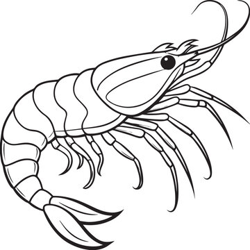 recommend clip art: prawn line art vector