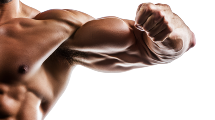 Muscular Arm Flexing