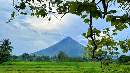 Mayon Volcano Morning view with rice field in legazpi city albay Philippines