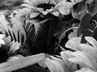 Flowers Grayscale Misc