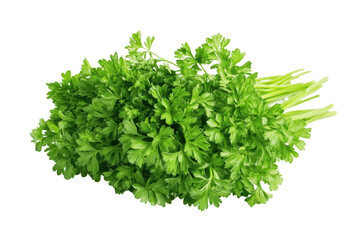 Obraz premium Fresh parsley leaves on transparent background