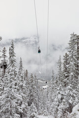 Obraz premium view of a gondola over the trees in the mountains with low clouds with a fresh layer of snow in winter