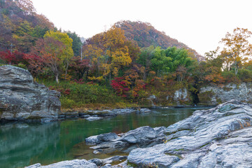 日本の風景・秋　埼玉県長瀞町　紅葉の秩父長瀞