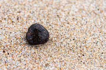 Beach treasure, stone on the beach sand. Close up view.