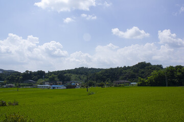 countryside scenery