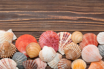 Many sea shells on wooden background