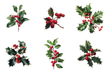 Six Sprigs of Holly with Red Berries
