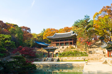 Obraz premium Changdeok Palace in Autumn, Seoul city, South Korea.