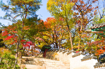 Changdeok Palace in Autumn, Seoul city, South Korea.