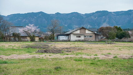 House or vllage with cherry tree by mount Aso volcano, Kumamoto