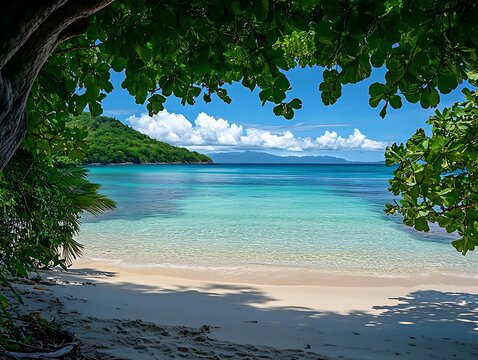 Tropical Beach Scene with Lush Greenery and Crystal Clear Water - Photo