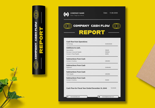 Company Cash Flow Report