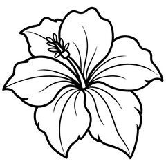 Chinese hibiscus vector illustration on white background