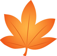 illustration of a maple