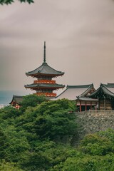 Fototapeta premium Beautiful dawn of Kiyomizu-dera Temple in Kyoto, Japan, with lush green trees and a clear sky.