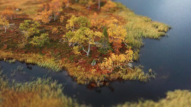 A river meandering through an autumnal tundra landscape, highlighting the rich colors of the season. Aerial view, tilt-shift.