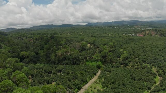 DRONE: VIEW FROM ABOVE OF AVOCADO FARMS IN URUAPAN MICHOACAN