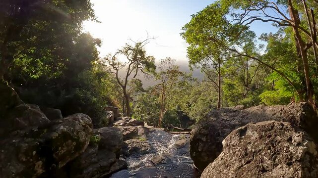 Cameron Falls in Tamborine National Park is a scenic rainforest waterfall surrounded by lush greenery in Queensland's Gold Coast Hinterland, Australia