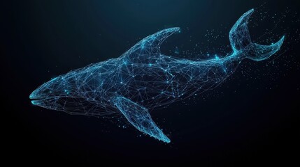 Low-poly whale using geometric structure and connections