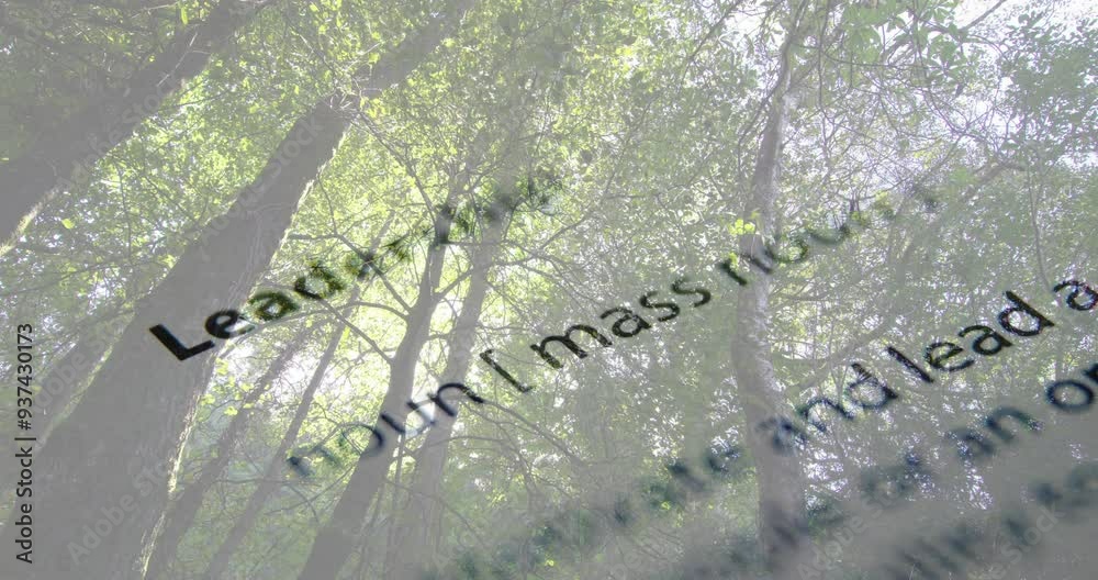 Poster animating dictionary text over tall trees in forest
