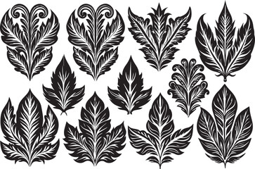 Set Ornaments leaves. Hand drawn vector illustration	
