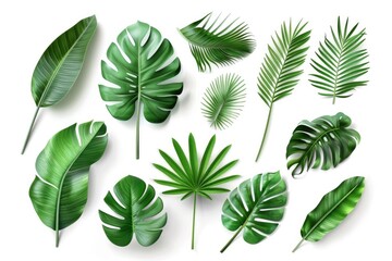 Tropical leaves pattern on white background for flat lay design