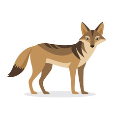  Jackal animal isolated flat vector illustration on white background.