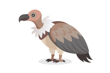 Vulture animal isolated flat vector illustration on white background