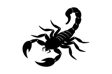 Scorpion silhouette, scorpion animal silhouette vector illustration