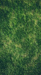 Lush Green Grass Texture Ideal for Nature and Landscape Backgrounds for Various Uses. Lawn Texture