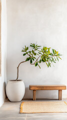 Tranquil Mediterranean nook with potted plant and wooden bench
