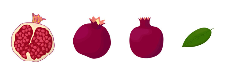 Pomegranate fruit isolated on a white background. Vector illustration, icon of fruits. Three pomegranates in a hand-drawn style.