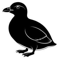 duck animal vector svg