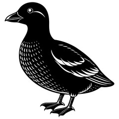 duck animal vector svg