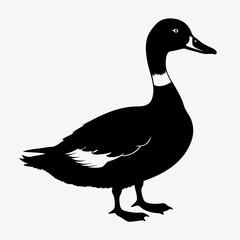 duck animal vector svg