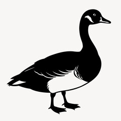 duck animal vector svg