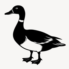 duck animal vector svg