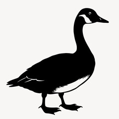 duck animal vector svg