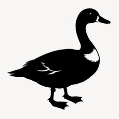 duck animal vector svg