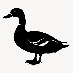 duck animal vector svg