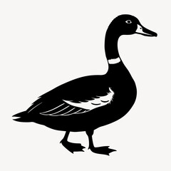 duck animal vector svg