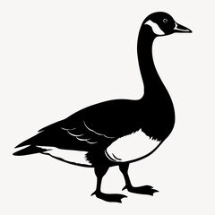 duck animal vector svg