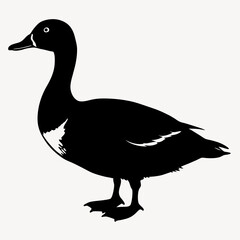 Dolphin silhouette Vector