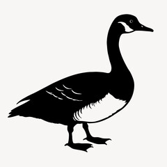 Dolphin silhouette Vector