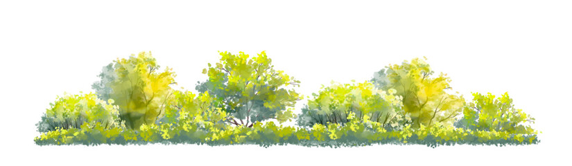 Obraz premium Vector watercolor green tree or forest side view isolated on white background for landscape and architecture drawing,elements for environment or and garden,Shrub for section