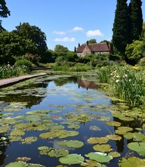 Obraz premium Water Lily Pond with House Reflection